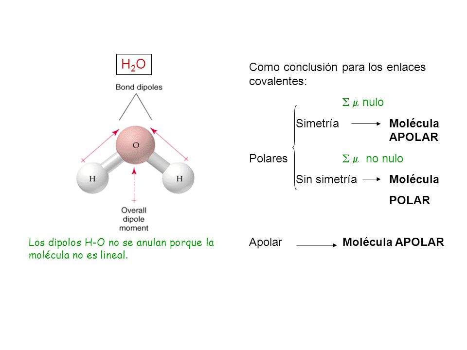H2O Como conclusión para los enlaces covalentes:   nulo