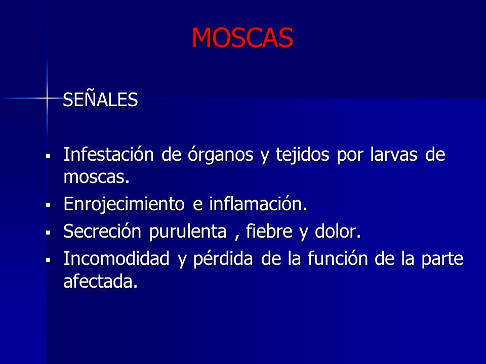 MOSCAS SEÑALES Infestación de órganos y tejidos por larvas de moscas.