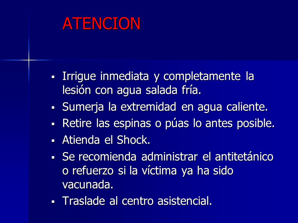 ATENCION Irrigue inmediata y completamente la lesión con agua salada fría. Sumerja la extremidad en agua caliente.