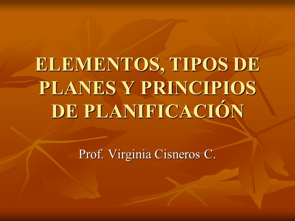 ELEMENTOS, TIPOS DE PLANES Y PRINCIPIOS DE PLANIFICACIÓN