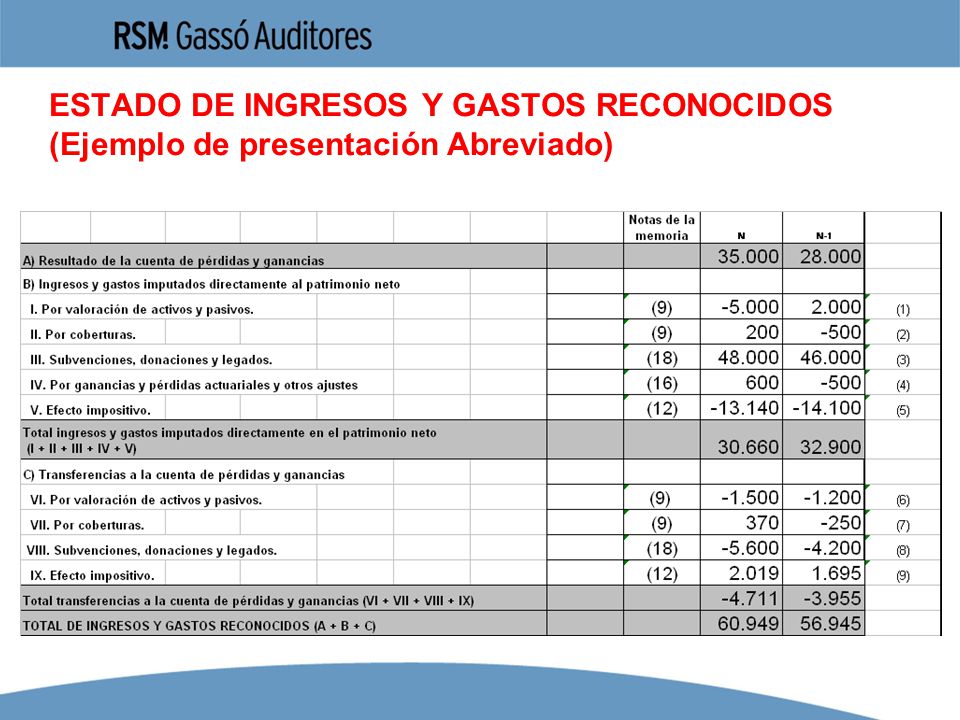 ESTADO DE INGRESOS Y GASTOS RECONOCIDOS (Ejemplo de presentación Abreviado)
