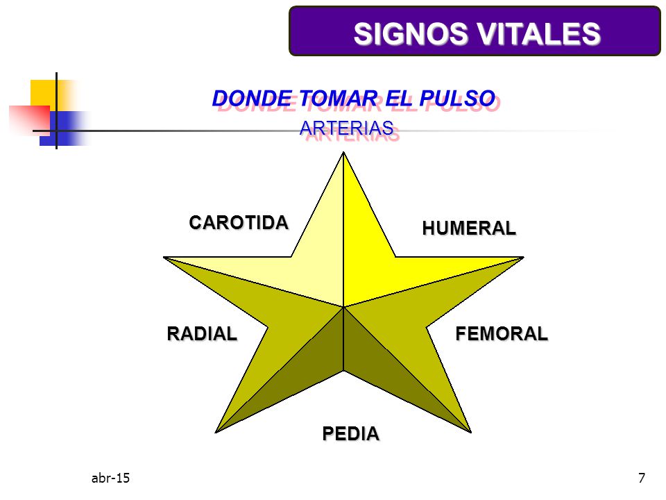 SIGNOS VITALES DONDE TOMAR EL PULSO ARTERIAS CAROTIDA HUMERAL RADIAL