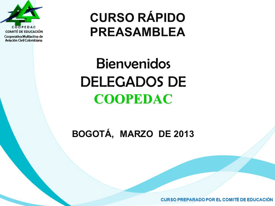 CURSO RÁPIDO PREASAMBLEA CURSO PREPARADO POR EL COMITÉ DE EDUCACIÓN