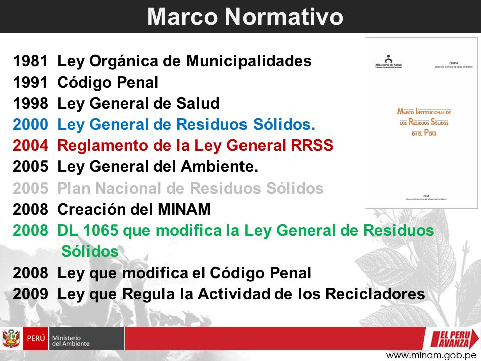 Marco Normativo 1981 Ley Orgánica de Municipalidades 1991 Código Penal