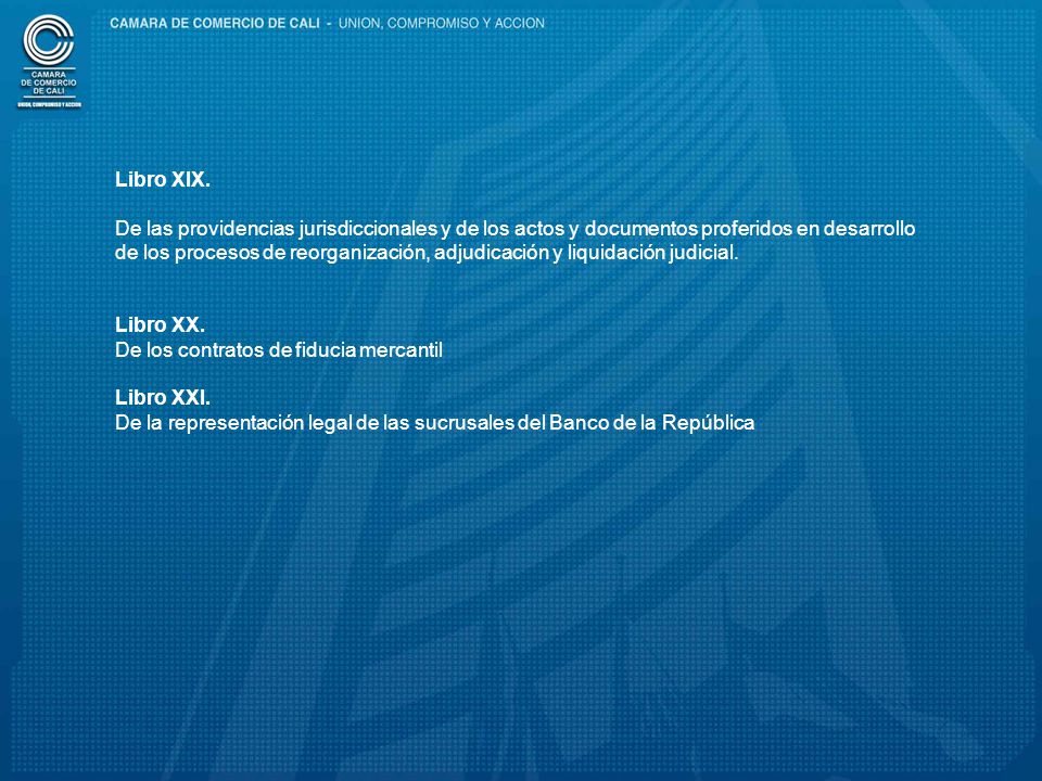 Libro XIX. De las providencias jurisdiccionales y de los actos y documentos proferidos en desarrollo.