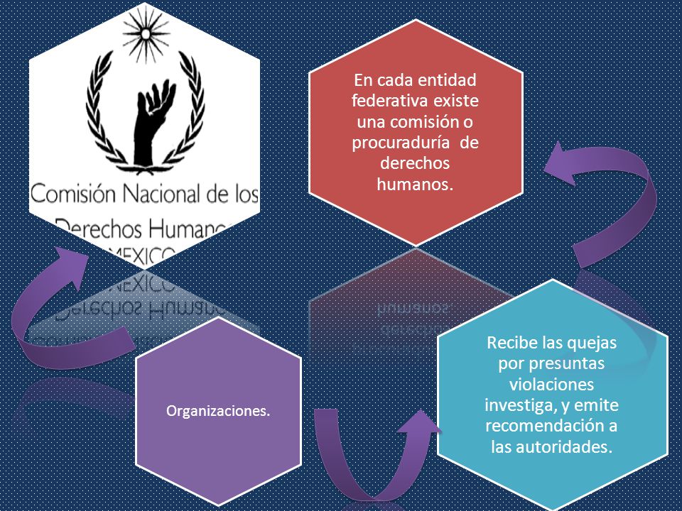En cada entidad federativa existe una comisión o procuraduría de derechos humanos.