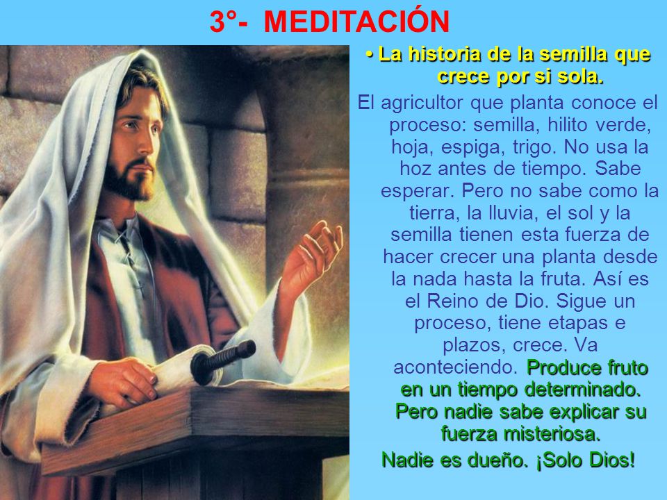 3°- MEDITACIÓN • La historia de la semilla que crece por si sola.