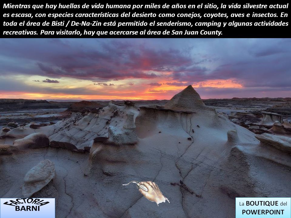 Mientras que hay huellas de vida humana por miles de años en el sitio, la vida silvestre actual es escasa, con especies características del desierto como conejos, coyotes, aves e insectos. En toda el área de Bisti / De-Na-Zin está permitido el senderismo, camping y algunas actividades recreativas. Para visitarlo, hay que acercarse al área de San Juan County.