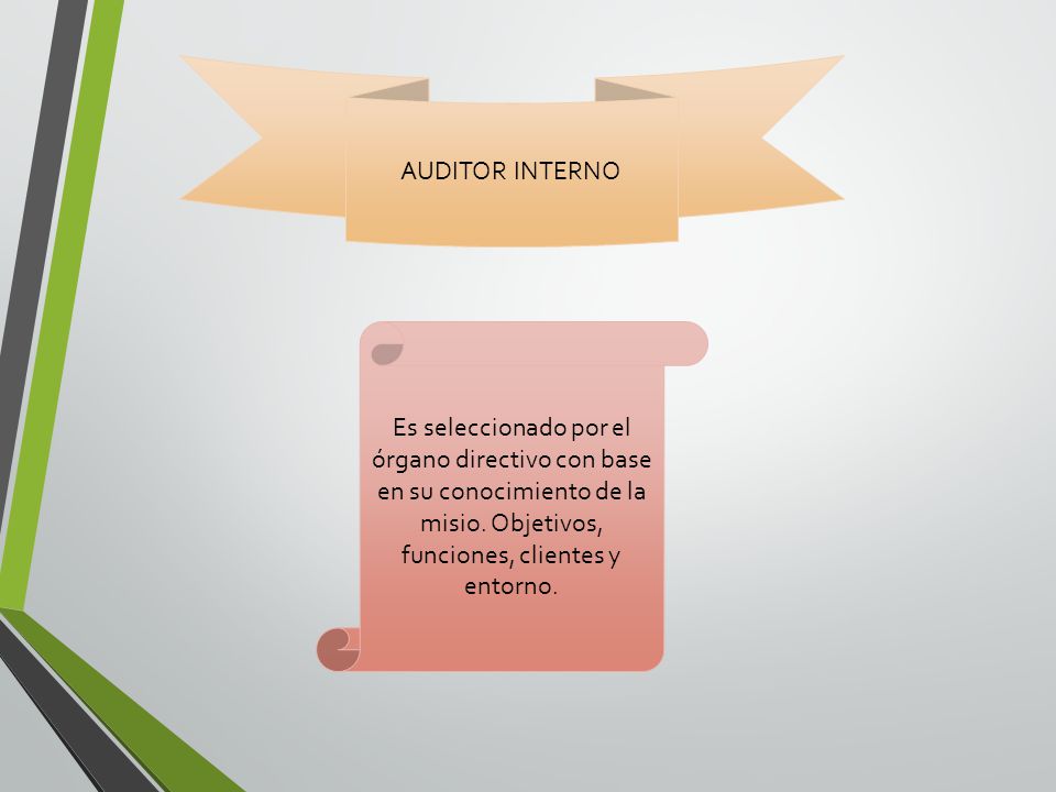 AUDITOR INTERNO Es seleccionado por el órgano directivo con base en su conocimiento de la misio.