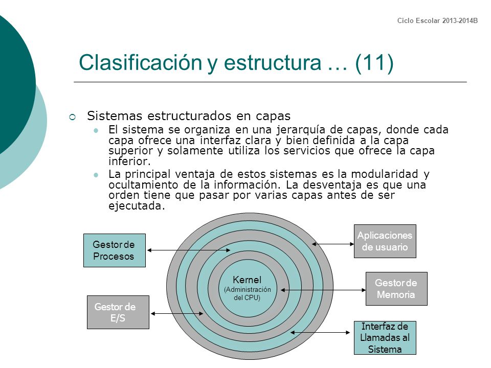Clasificación y estructura … (11)