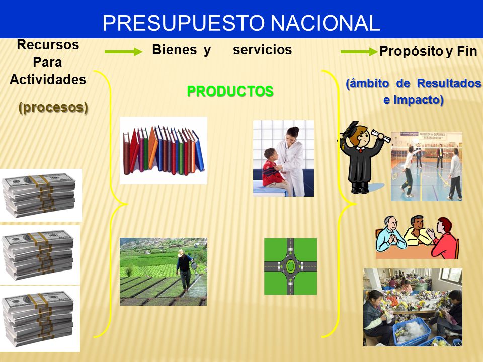 PRESUPUESTO NACIONAL Recursos Bienes y servicios Propósito y Fin Para