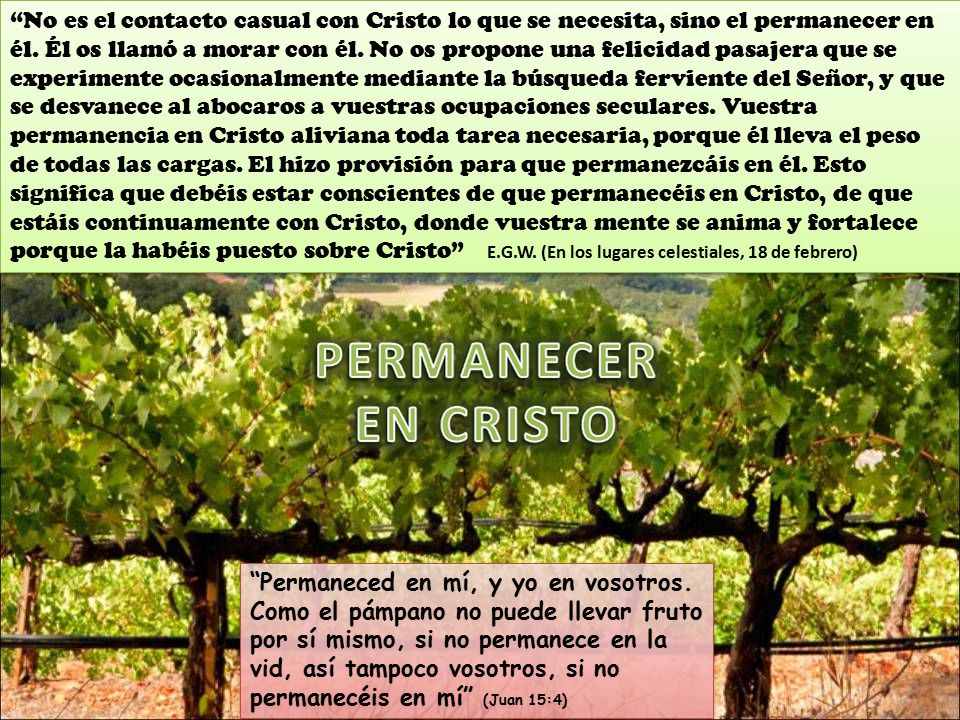 No es el contacto casual con Cristo lo que se necesita, sino el permanecer en él. Él os llamó a morar con él. No os propone una felicidad pasajera que se experimente ocasionalmente mediante la búsqueda ferviente del Señor, y que se desvanece al abocaros a vuestras ocupaciones seculares. Vuestra permanencia en Cristo aliviana toda tarea necesaria, porque él lleva el peso de todas las cargas. El hizo provisión para que permanezcáis en él. Esto significa que debéis estar conscientes de que permanecéis en Cristo, de que estáis continuamente con Cristo, donde vuestra mente se anima y fortalece porque la habéis puesto sobre Cristo E.G.W. (En los lugares celestiales, 18 de febrero)