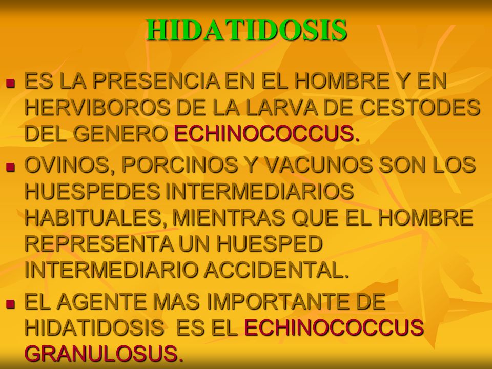 HIDATIDOSIS ES LA PRESENCIA EN EL HOMBRE Y EN HERVIBOROS DE LA LARVA DE CESTODES DEL GENERO ECHINOCOCCUS.