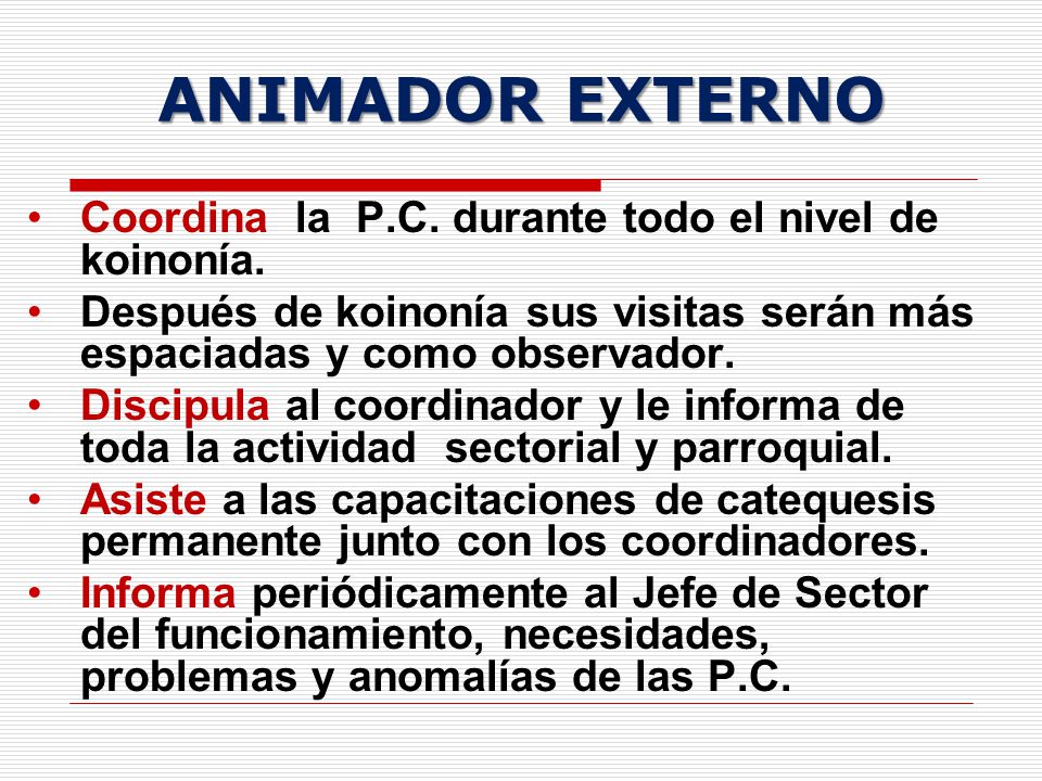 ANIMADOR EXTERNO Coordina la P.C. durante todo el nivel de koinonía.