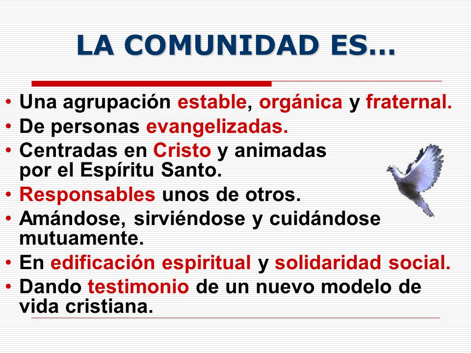 LA COMUNIDAD ES… Una agrupación estable, orgánica y fraternal.