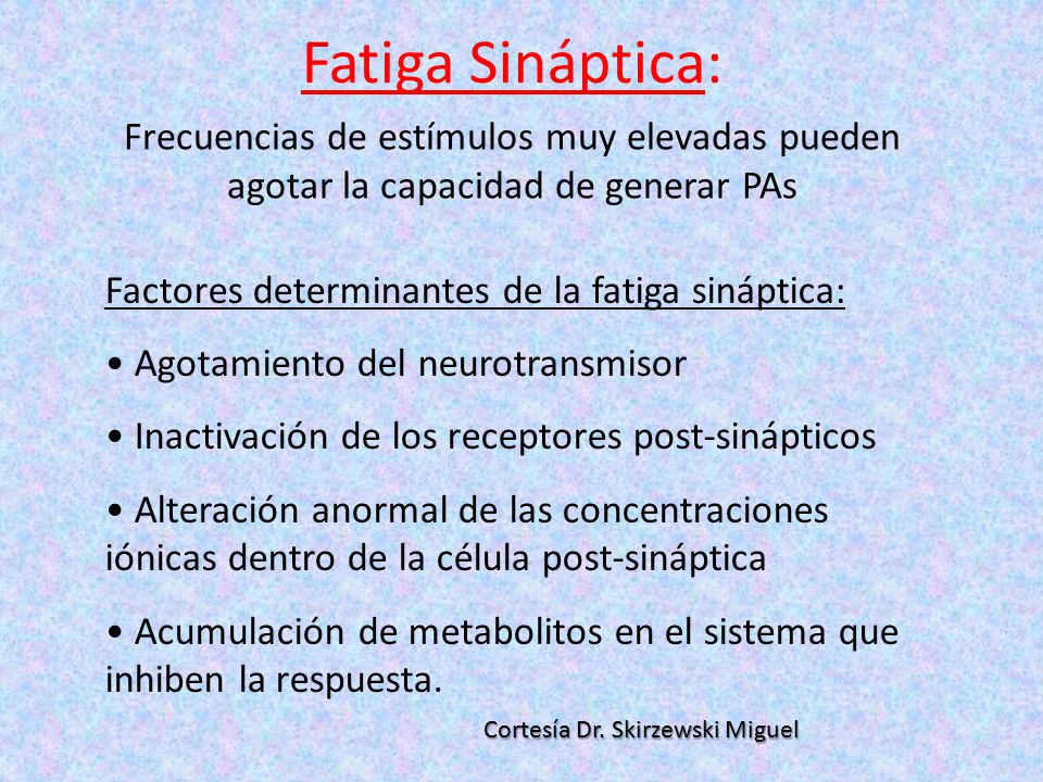 Fatiga Sináptica: Frecuencias de estímulos muy elevadas pueden agotar la capacidad de generar PAs. Factores determinantes de la fatiga sináptica: