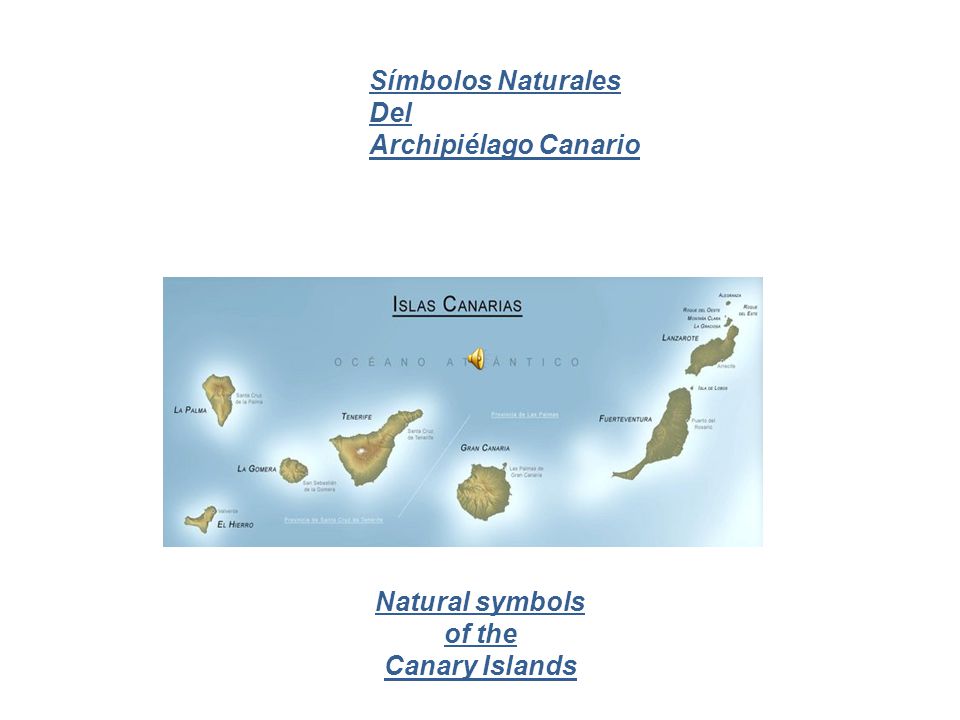 Símbolos Naturales Del Archipiélago Canario Natural symbols of the Canary Islands