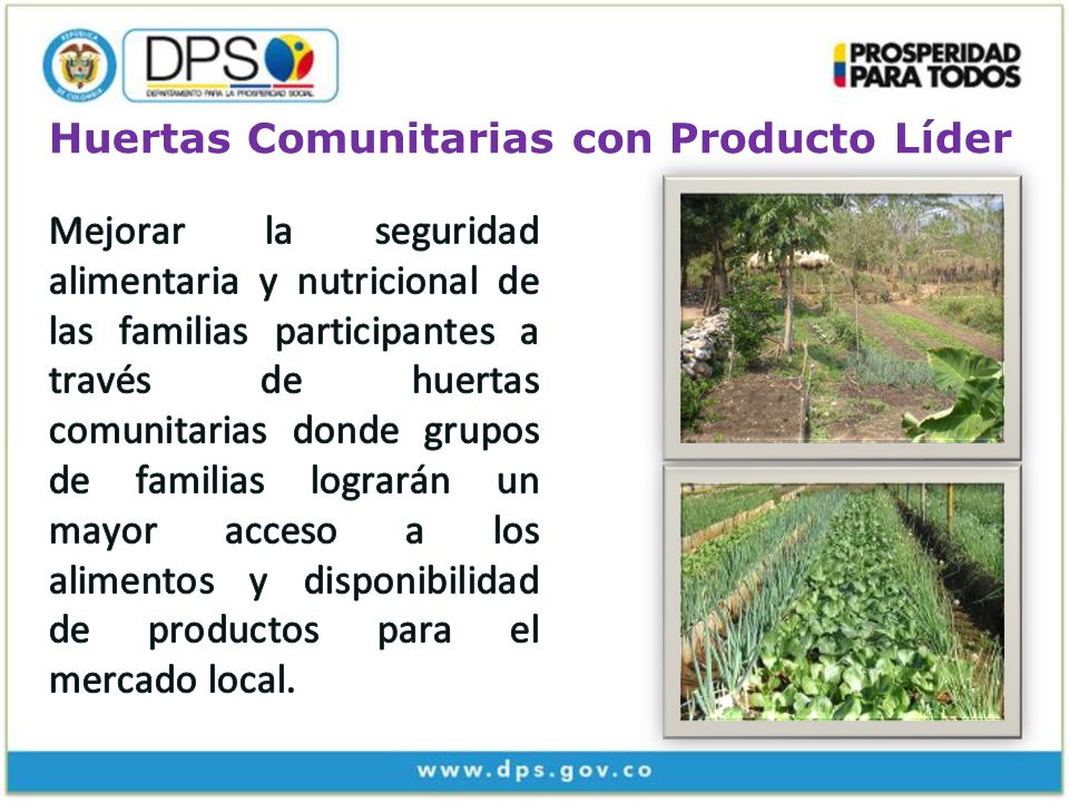 Huertas Comunitarias con Producto Líder