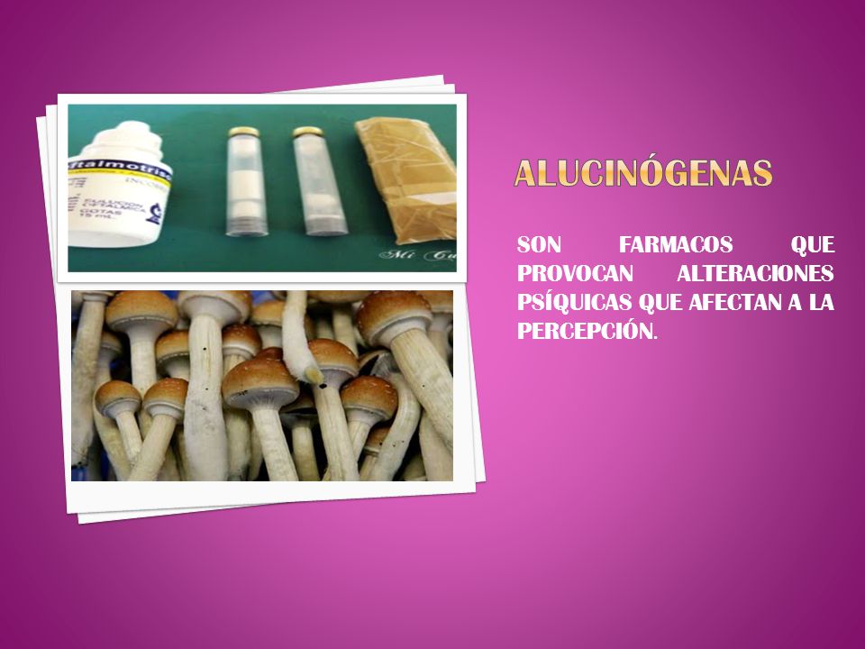 ALUCINÓGENAS SON FARMACOS QUE PROVOCAN ALTERACIONES PSÍQUICAS QUE AFECTAN A LA PERCEPCIÓN.