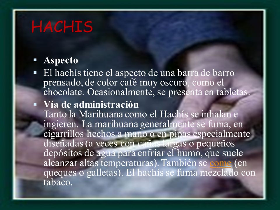 HACHIS Aspecto.