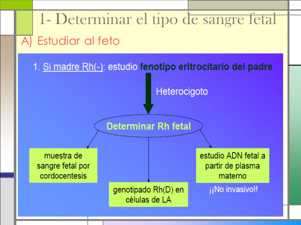 1- Determinar el tipo de sangre fetal