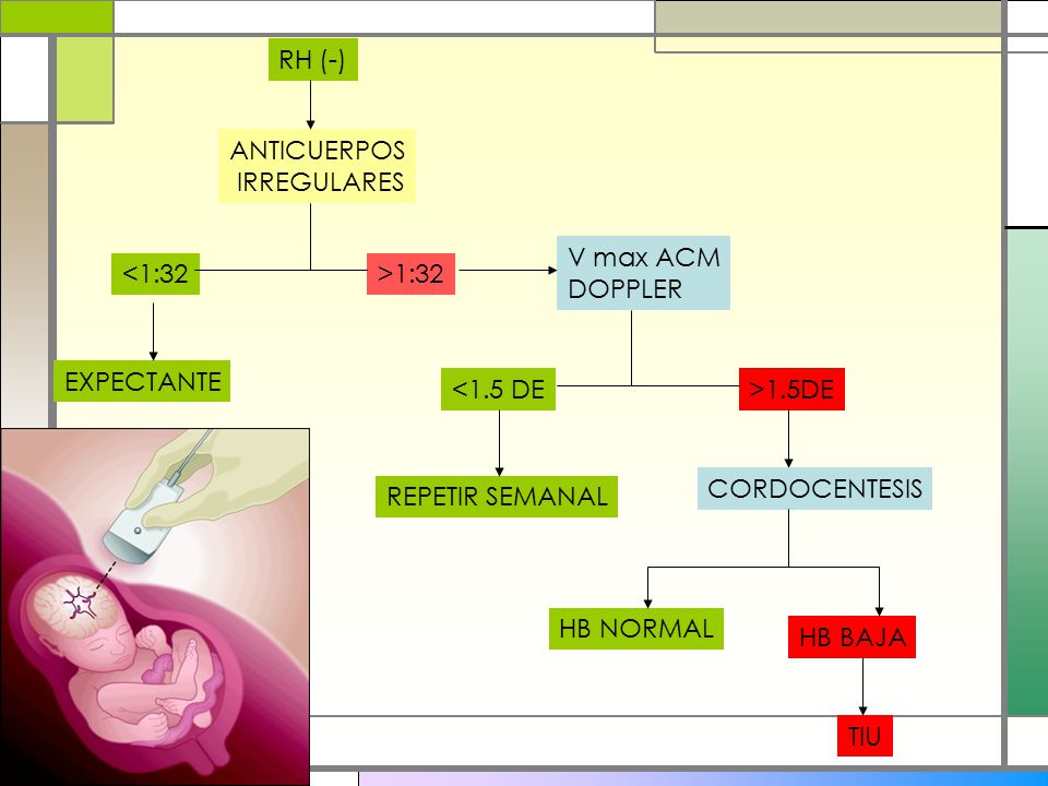 RH (-) ANTICUERPOS. IRREGULARES. V max ACM. DOPPLER. <1:32. >1:32. EXPECTANTE. <1.5 DE. >1.5DE.
