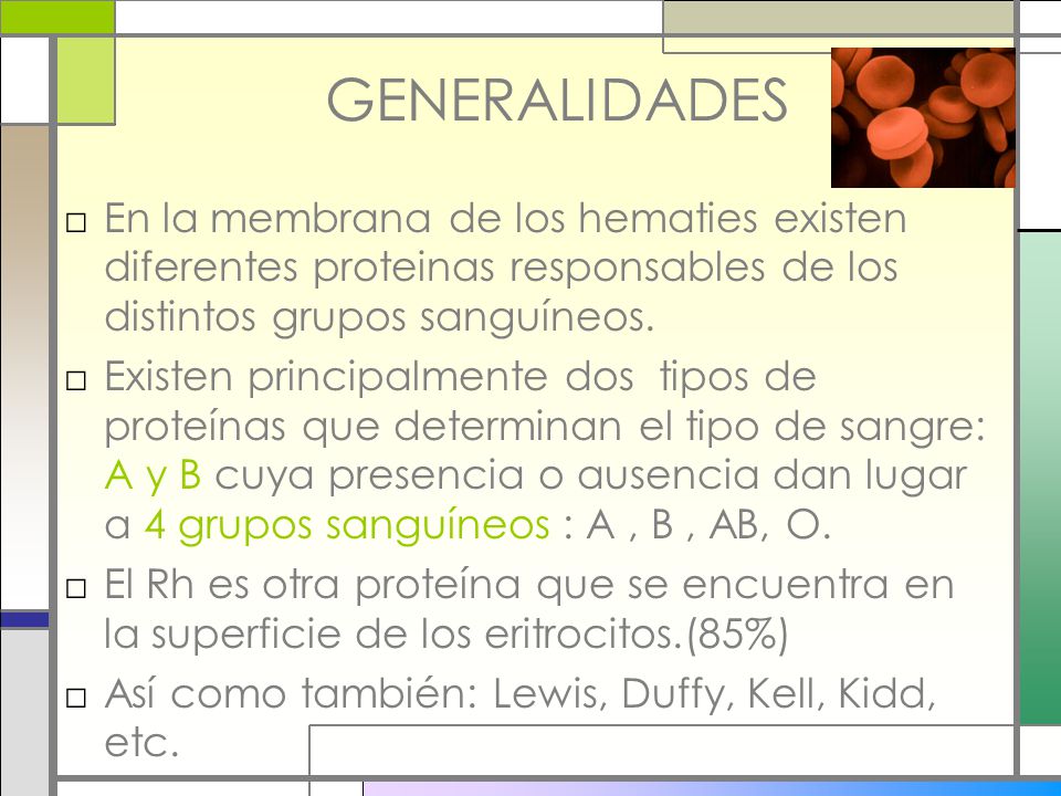 GENERALIDADES En la membrana de los hematies existen diferentes proteinas responsables de los distintos grupos sanguíneos.