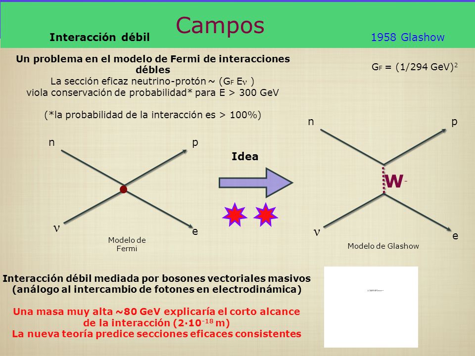 Campos W- ν ν Interacción débil 1958 Glashow p n e p n e Idea