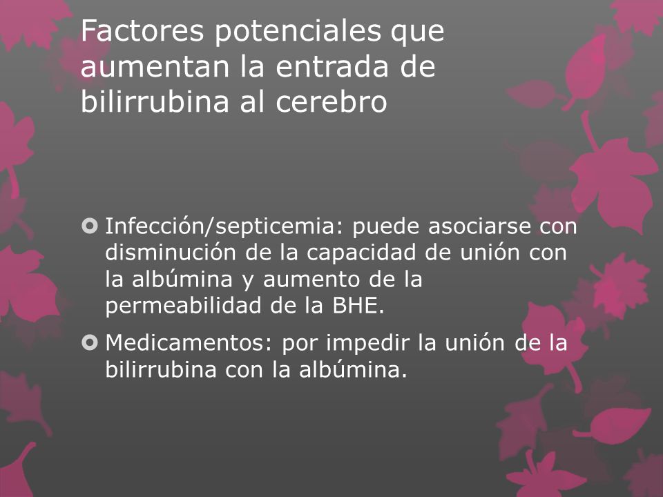Factores potenciales que aumentan la entrada de bilirrubina al cerebro