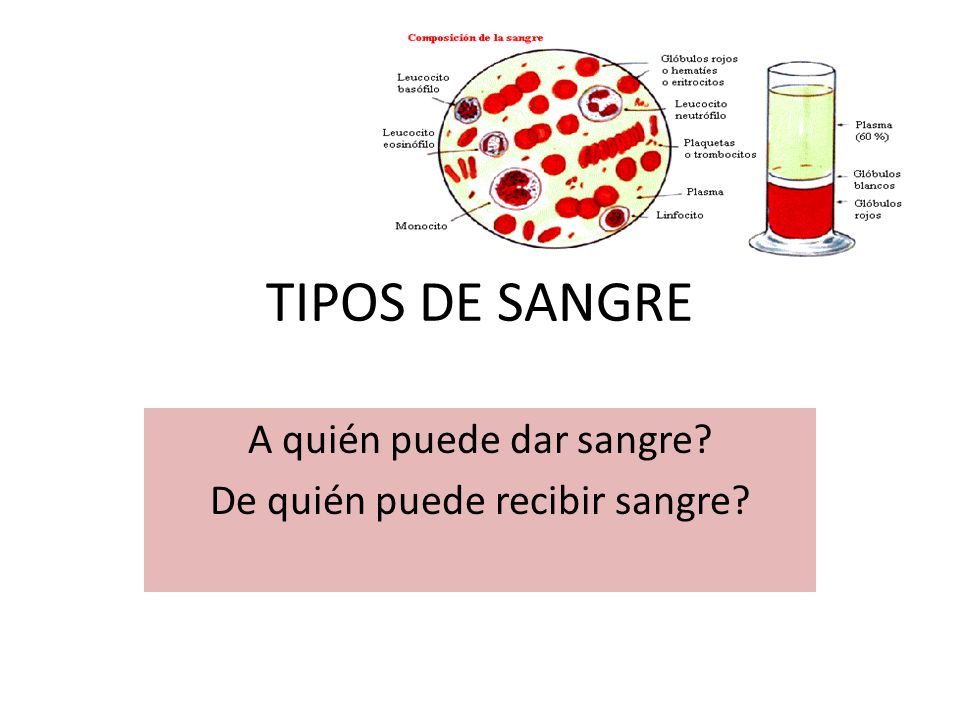 A quién puede dar sangre De quién puede recibir sangre