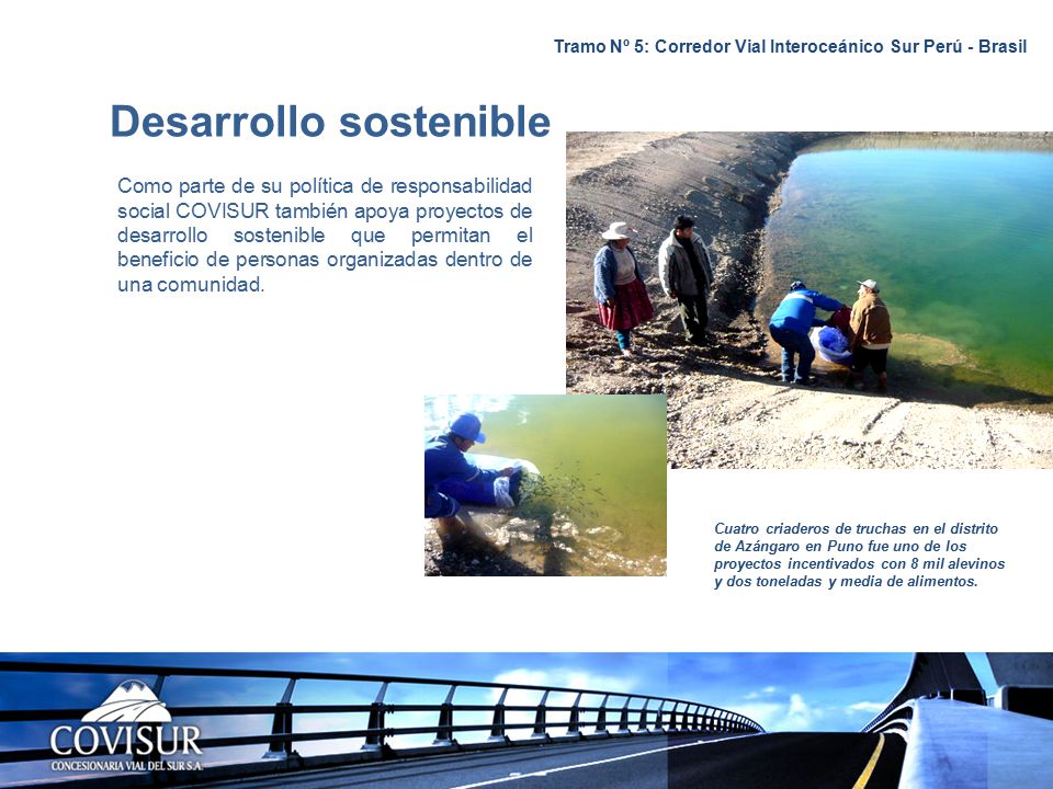 Tramo Nº 5: Corredor Vial Interoceánico Sur Perú - Brasil