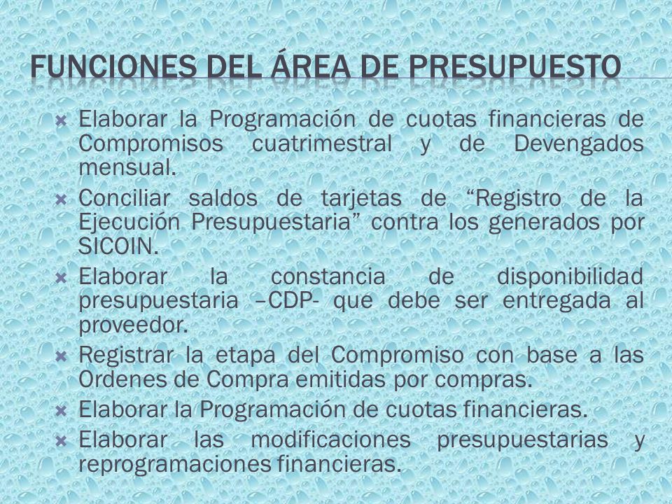 Funciones del Área de Presupuesto