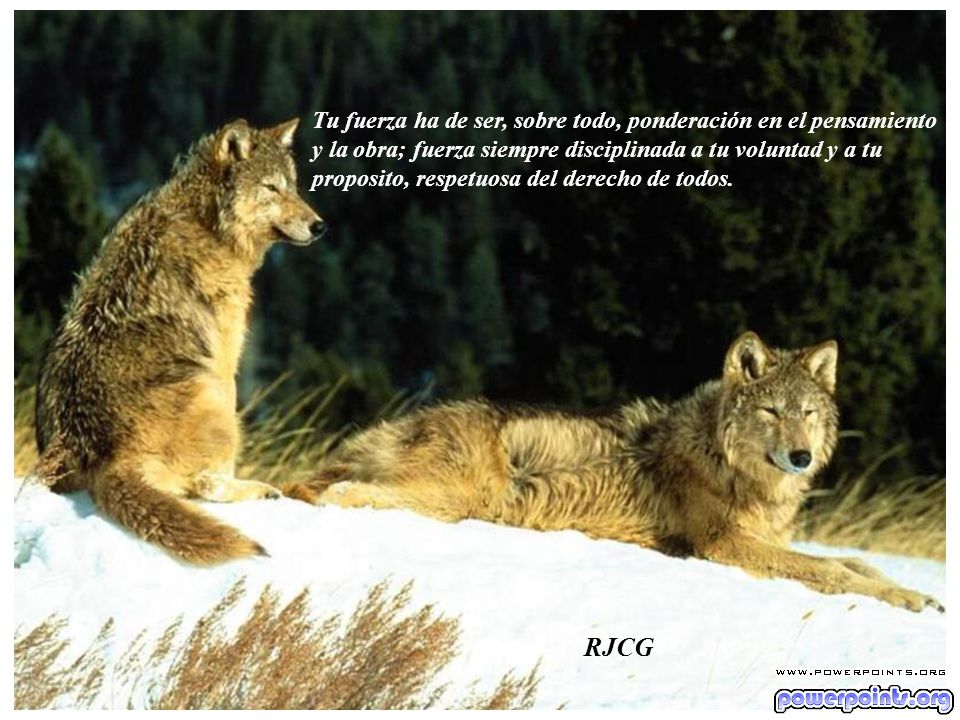 RJCG Tu fuerza ha de ser, sobre todo, ponderación en el pensamiento