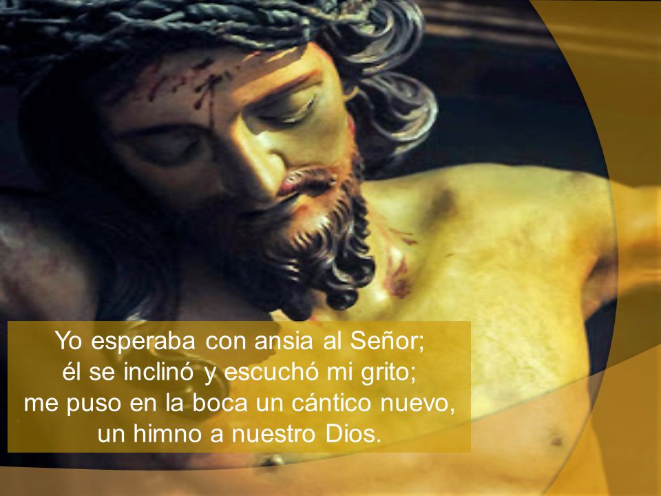 Yo esperaba con ansia al Señor; él se inclinó y escuchó mi grito; me puso en la boca un cántico nuevo, un himno a nuestro Dios.