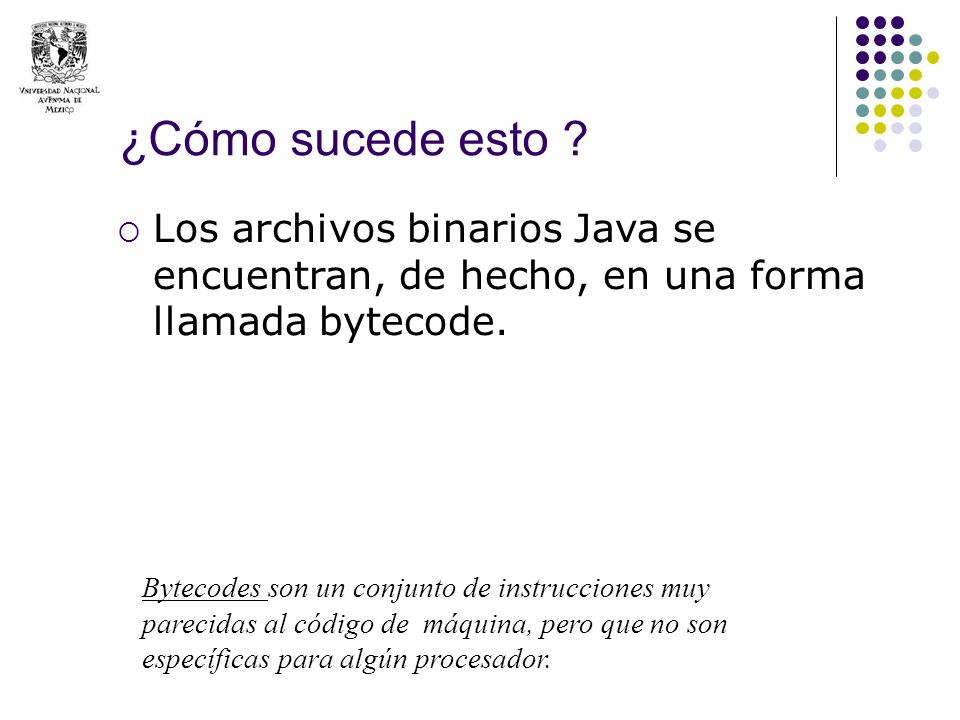 ¿Cómo sucede esto Los archivos binarios Java se encuentran, de hecho, en una forma llamada bytecode.