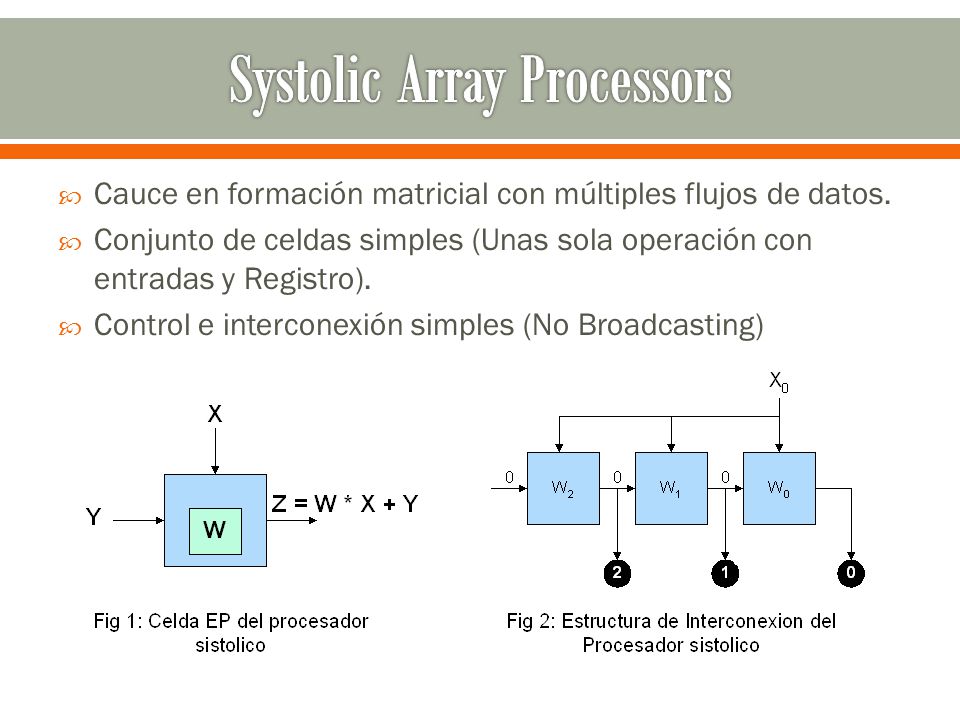 Systolic Array Processors