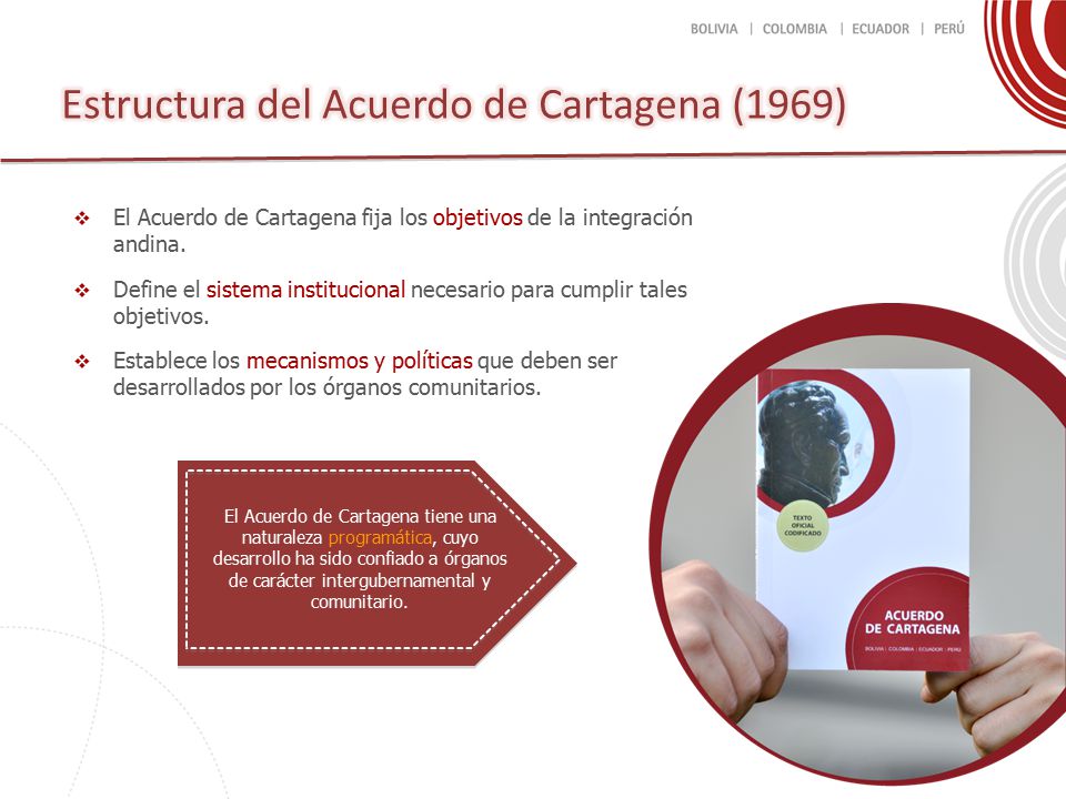 Estructura del Acuerdo de Cartagena (1969)