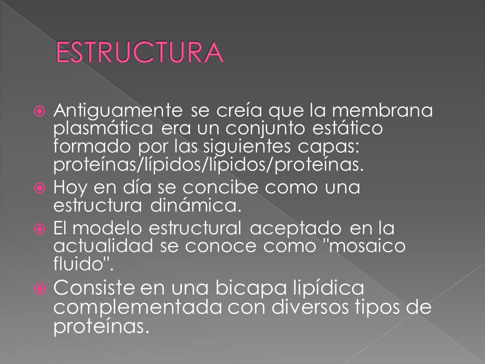 ESTRUCTURA