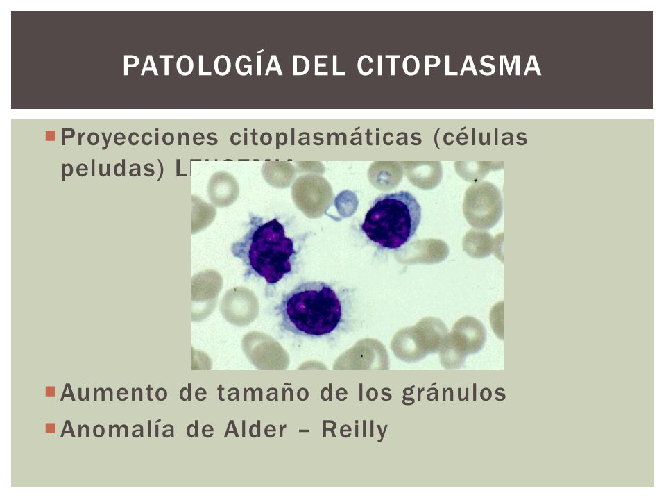 Patología del Citoplasma