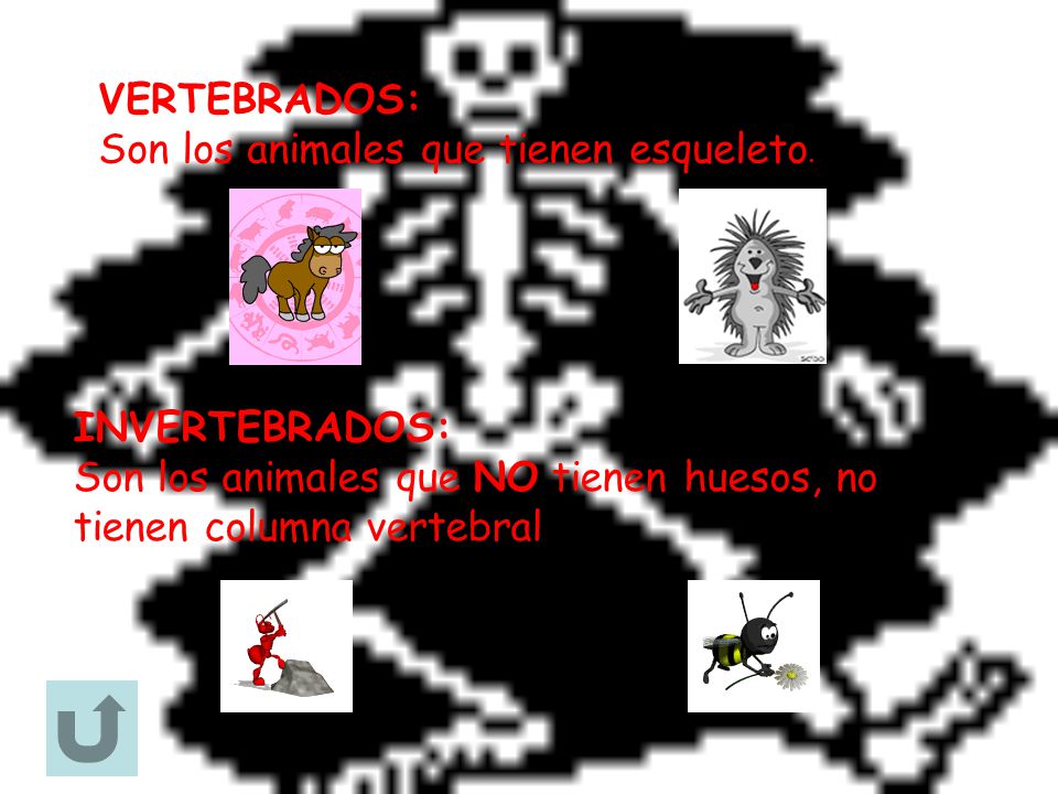 VERTEBRADOS: Son los animales que tienen esqueleto.
