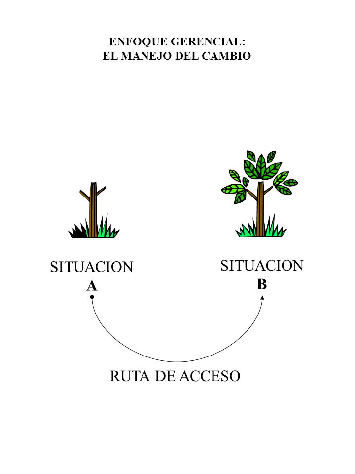 ENFOQUE GERENCIAL: EL MANEJO DEL CAMBIO SITUACION A B RUTA DE ACCESO