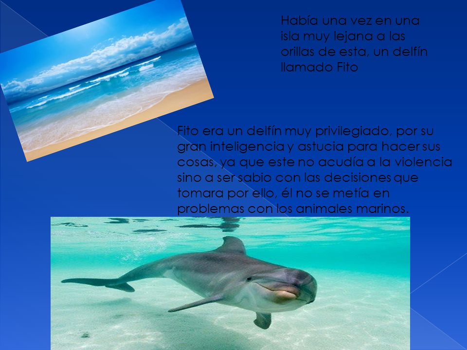 Había una vez en una isla muy lejana a las orillas de esta, un delfín llamado Fito