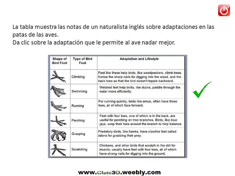 La tabla muestra las notas de un naturalista inglés sobre adaptaciones en las patas de las aves.