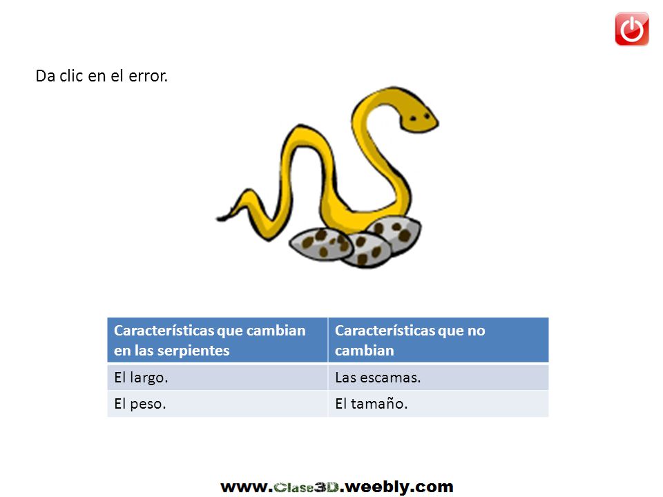 Da clic en el error. Características que cambian en las serpientes