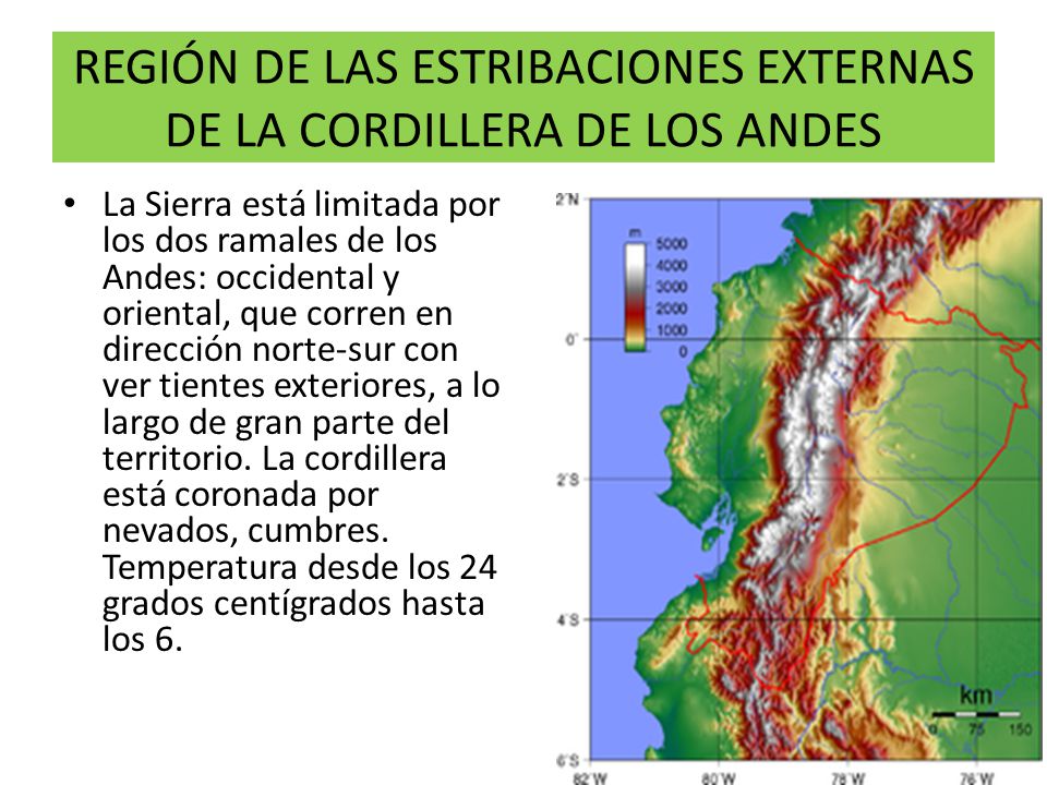 REGIÓN DE LAS ESTRIBACIONES EXTERNAS DE LA CORDILLERA DE LOS ANDES
