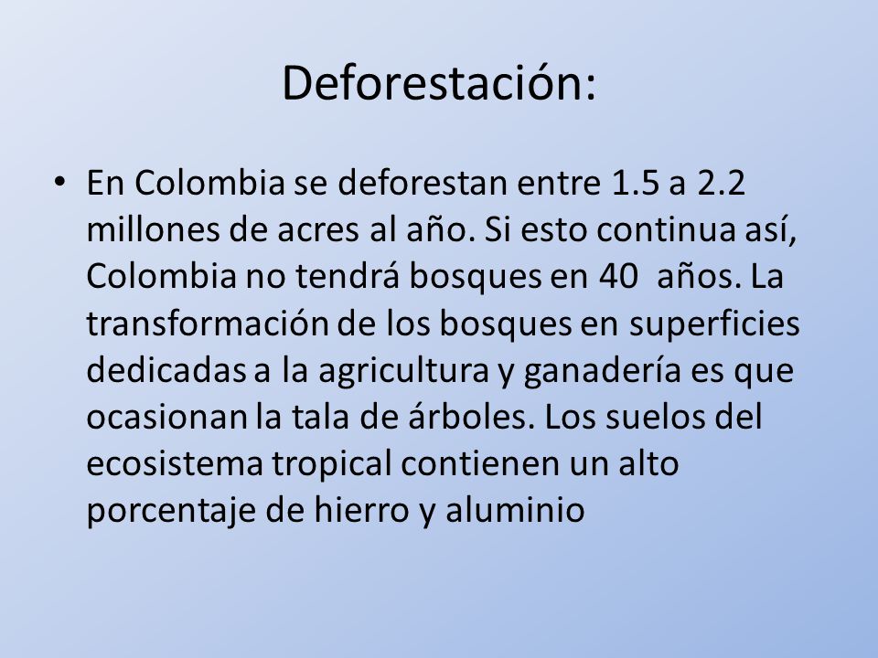 Deforestación: