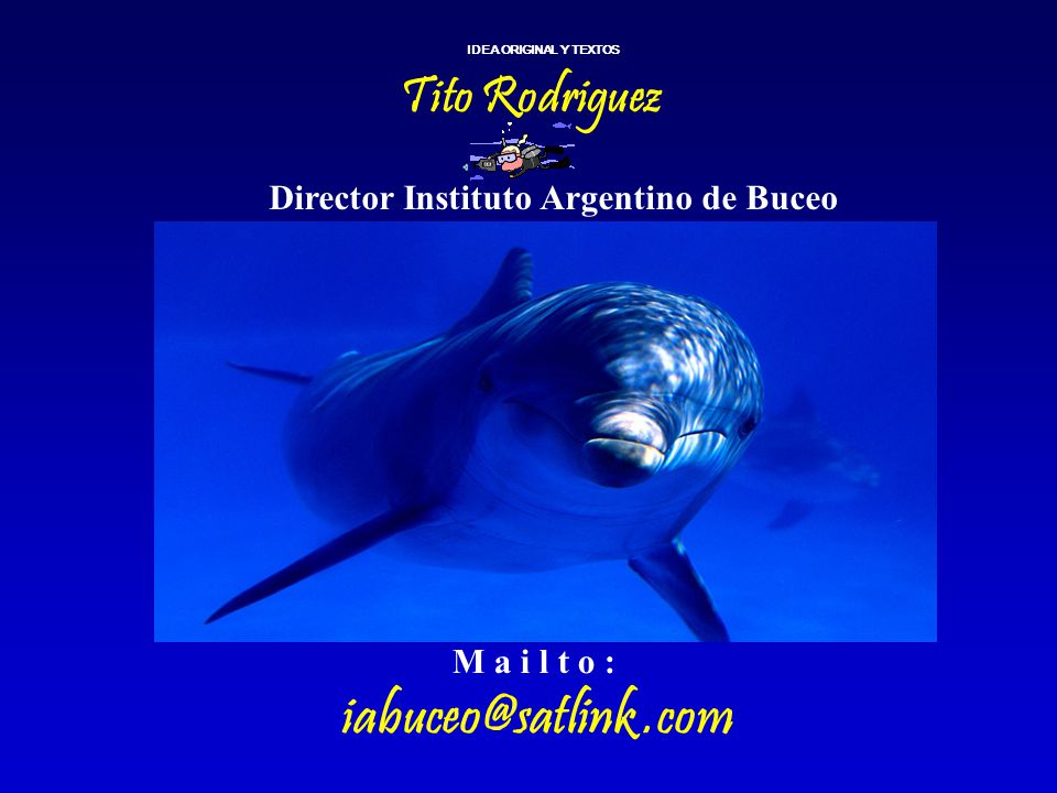 .com IDEA ORIGINAL Y TEXTOS Tito Rodriguez
