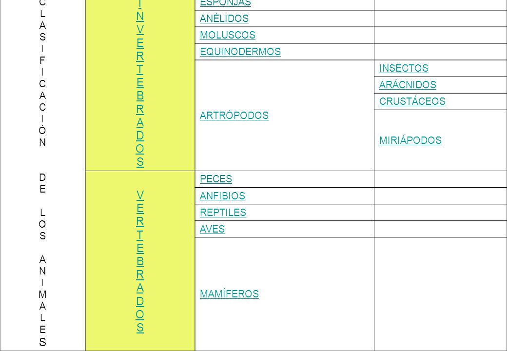 ANIMALES I N V E R T E B R A D O S V E R T E B R A D O S CLASES