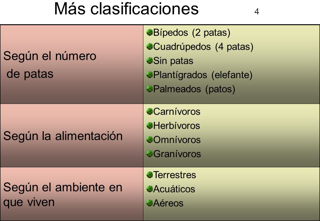 Más clasificaciones 4 Según el número de patas Según la alimentación