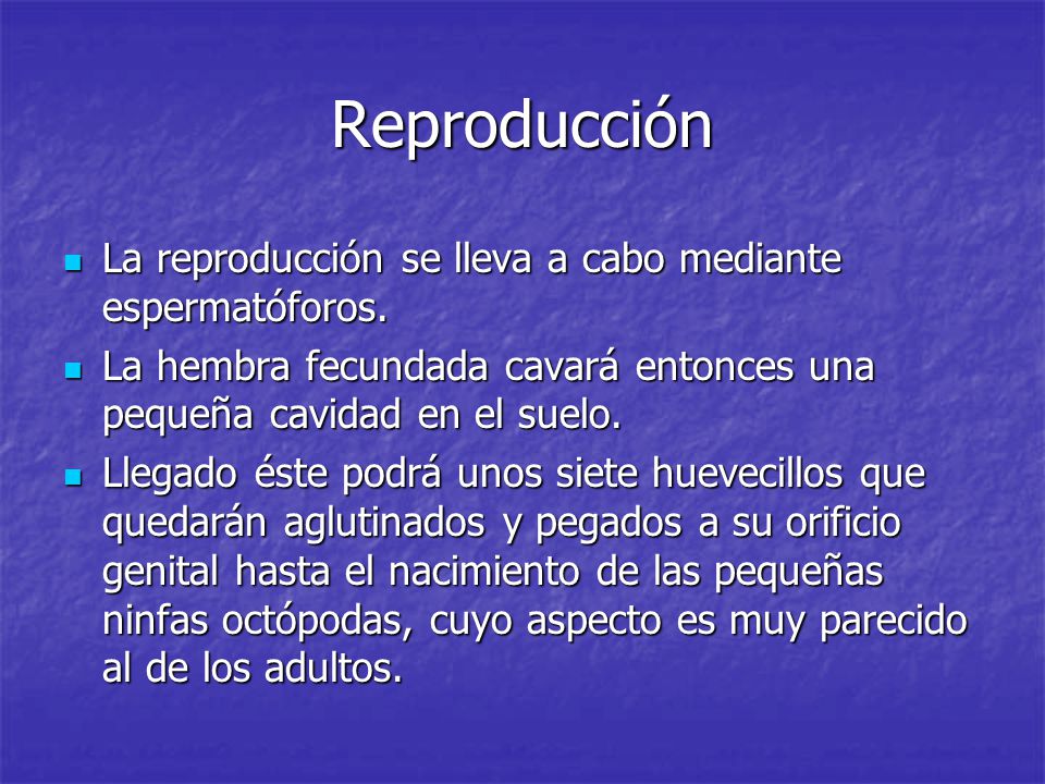 Reproducción La reproducción se lleva a cabo mediante espermatóforos.